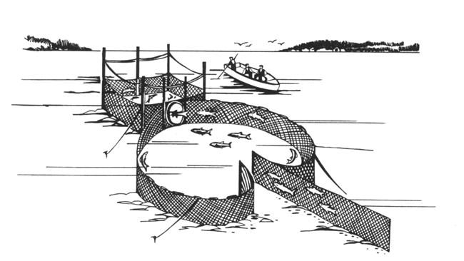 Diagram of a pound net that is used to herd fish into a smaller area.
