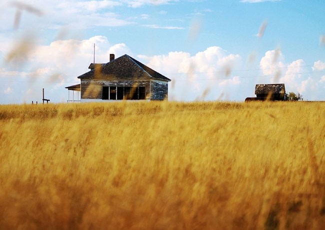 Prairie landscape, Nicodemus National Historic Site, 2015. Wood structure in background with golden wheat in foreground