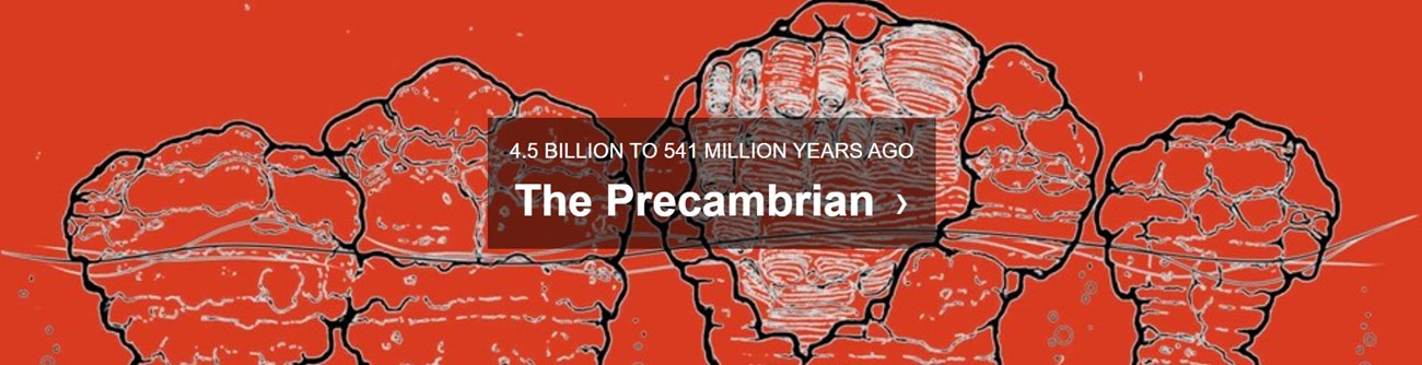 red background with text precambrian 4.6 BILLION TO 541 MILLION YEARS AGO