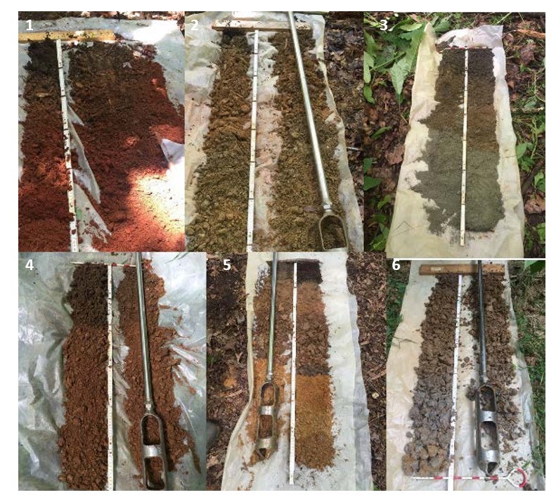 a collage of six color photographs of soil profiles showing the range of colors from orangey reds to browns and grays.