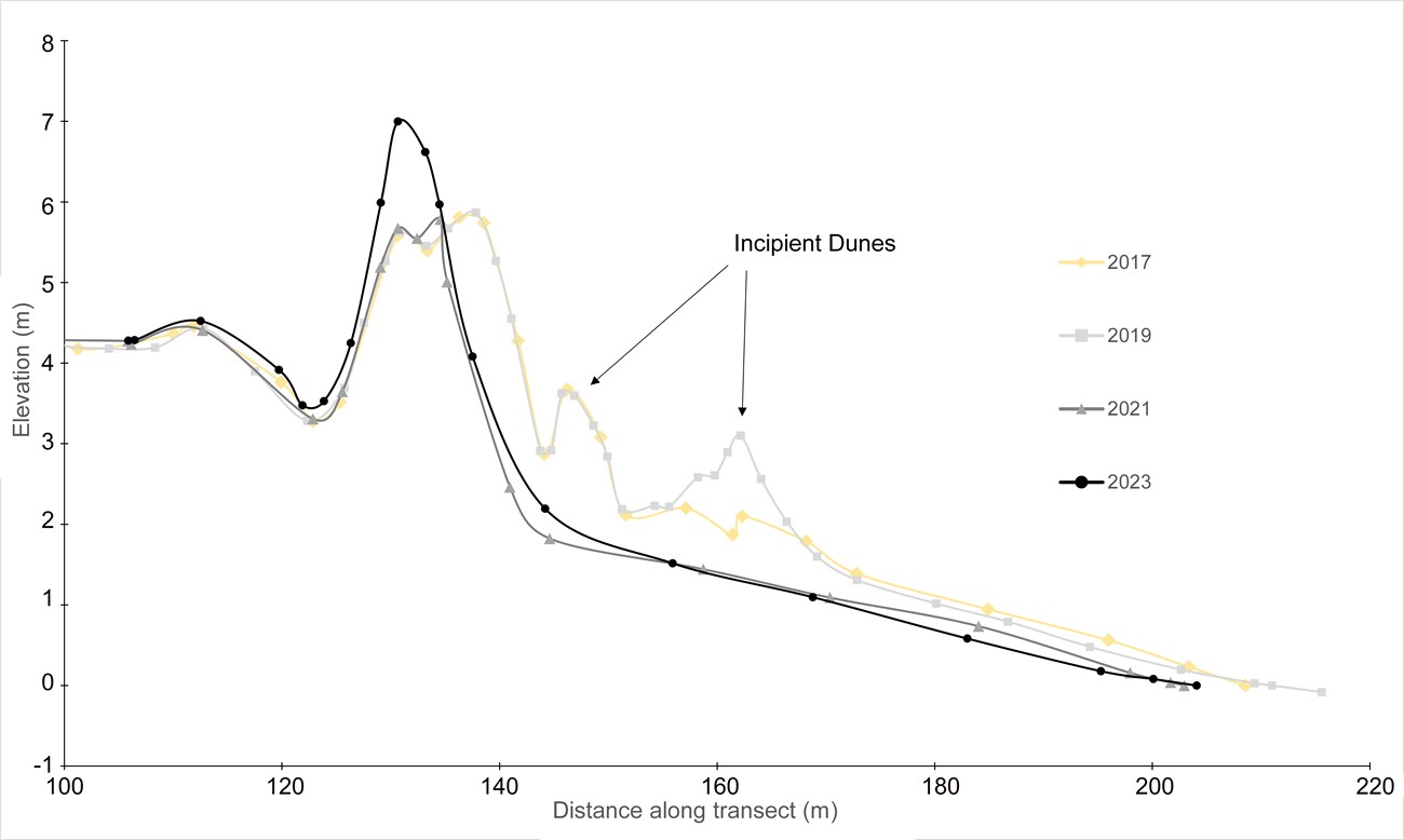 Profile graph showing loss of incipient dune.