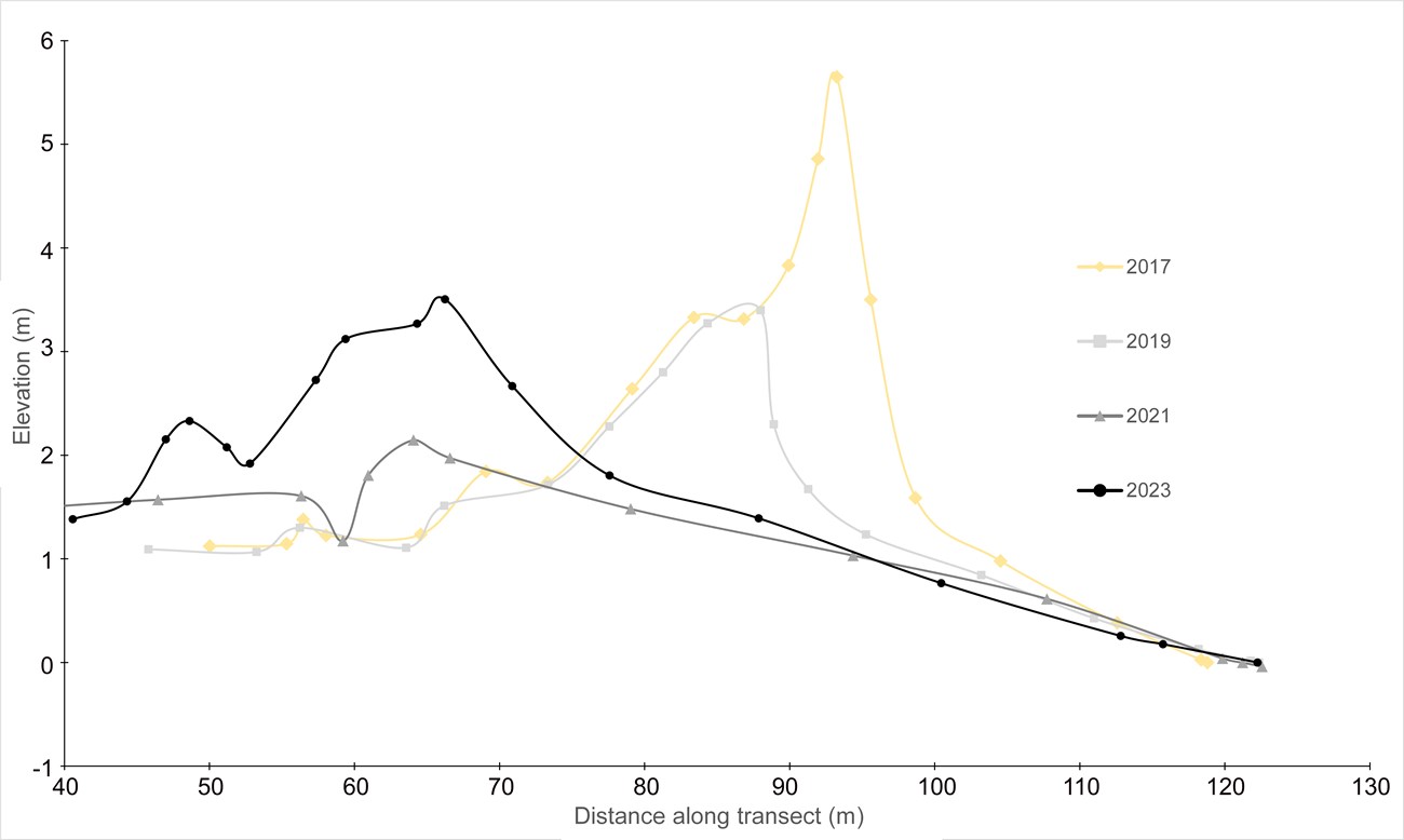 Profile graph showing reestablishment of dune.