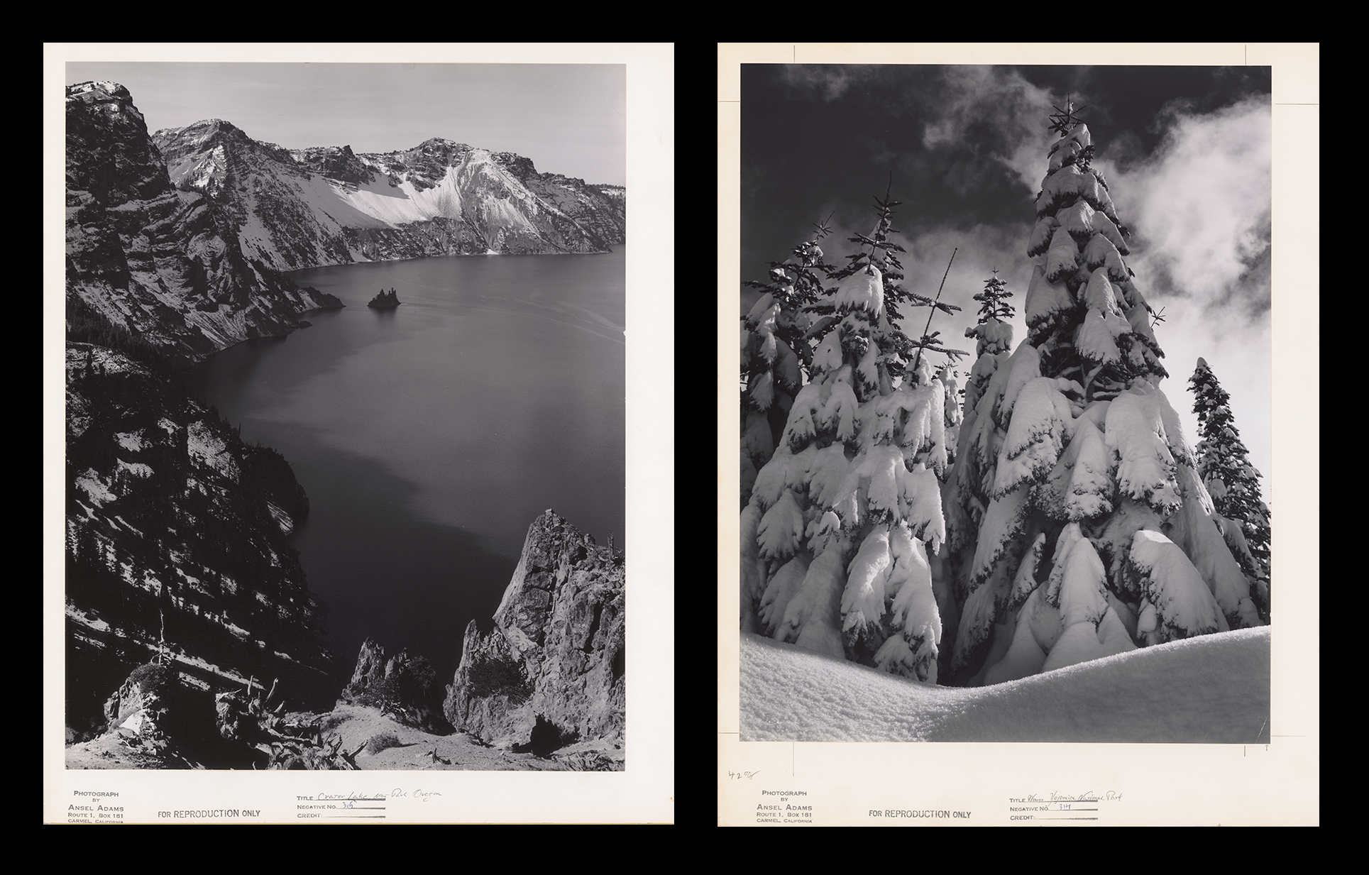 Ansel Adams proofs Side by side photos of Crater Lake and snow-covered pine trees.
