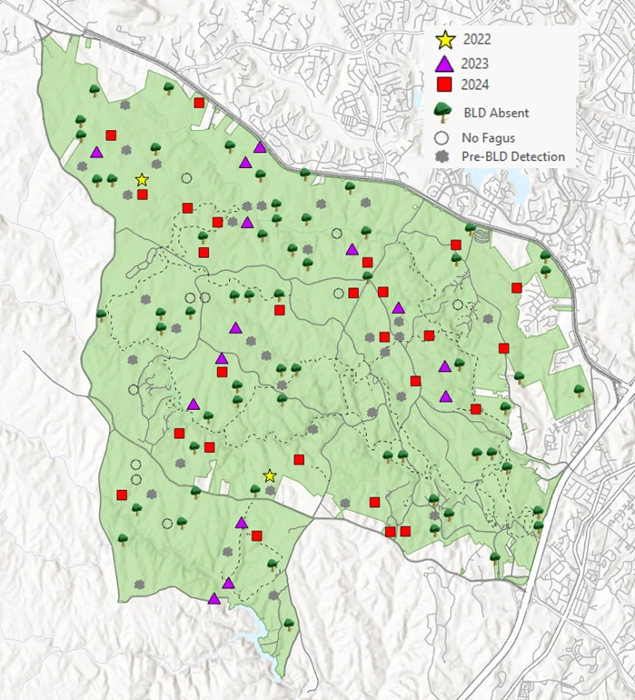 Map of forest monitoring sites at Prince William Forest Park Map of forest monitoring plots at Prince William Forest Park with symbols indicating presence and absence of beech trees and beech leaf disease..