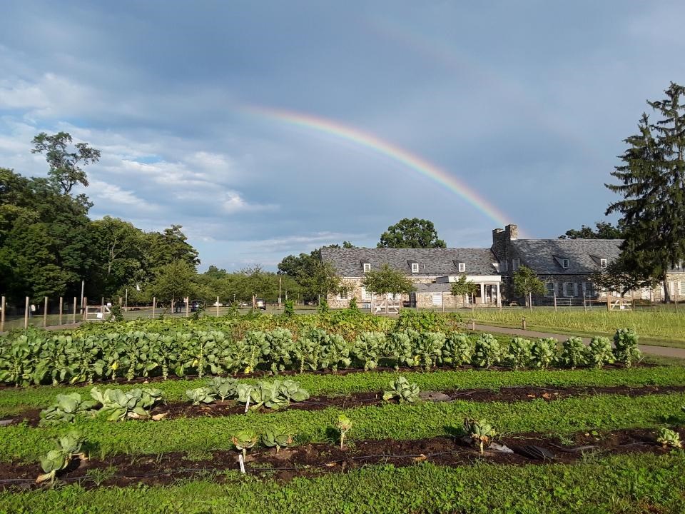 lt= A rainbow appears in the sky over a bountiful vegetable garden.