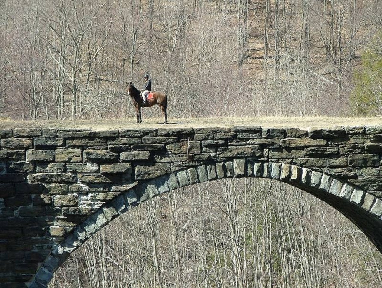 Sonia and her horse, LT, enjoying the great outdoors while getting out on the Keystone Arch Bridges trails. Photo Credit: Keystone Arches website.