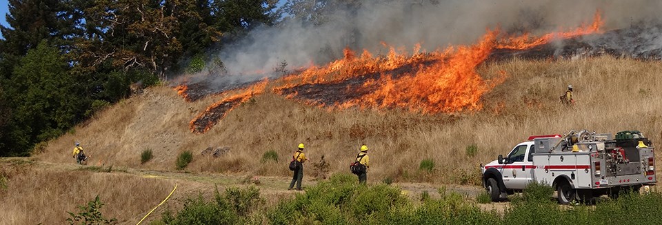 Fire personnel near an engine stand on a road below a hillside on fire.