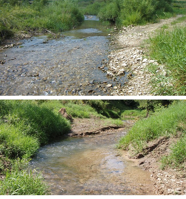 A stream with small pebbles lined by shrubs, grasses, and forbs in 2008 and the same stream with muddy banks and mostly grasses lining it in 2014.