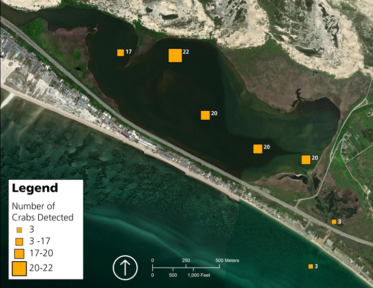 Horseshoe crab population in East Harbor A map of East Harbor using satellite imagery showing the density of crabs detected at each receiver station.