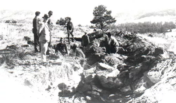 rich_figure_3 Black and white historic photo of men digging in a fossil quarry.