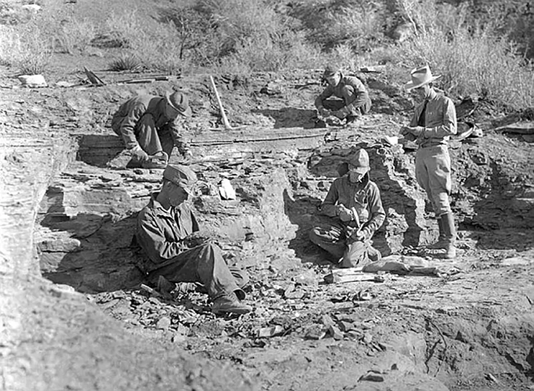 rich_figure_4 Blackand white historic photo of men digging in a fossil quarry.