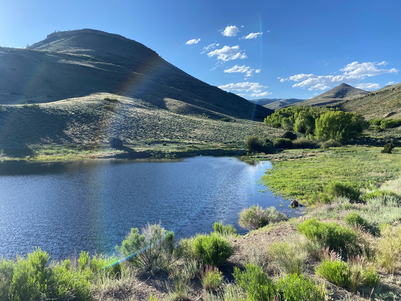A small pond and riparian zone lie at the base of sunlit hills and cottonwoods in Curecanti National Recreation Area. Small riparian wetland and pond below grassy hills and cottonwoods in Curecanti NRA.