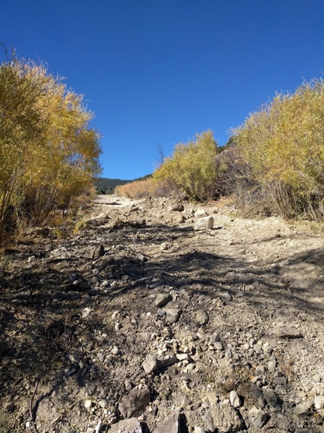 Road prior to road base removal