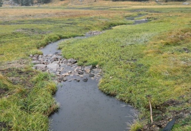 Stream across a green grassy landscape. Rocks in the channel with water ponding behind them.