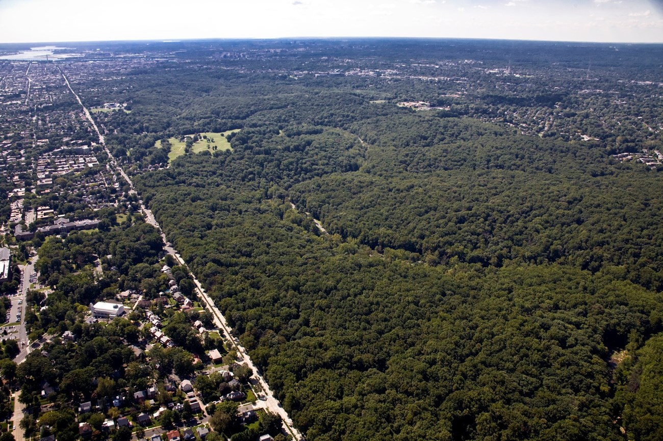 Rock Creek Park An aerial landscape photo with dense forests, suburban land, and a golf course.