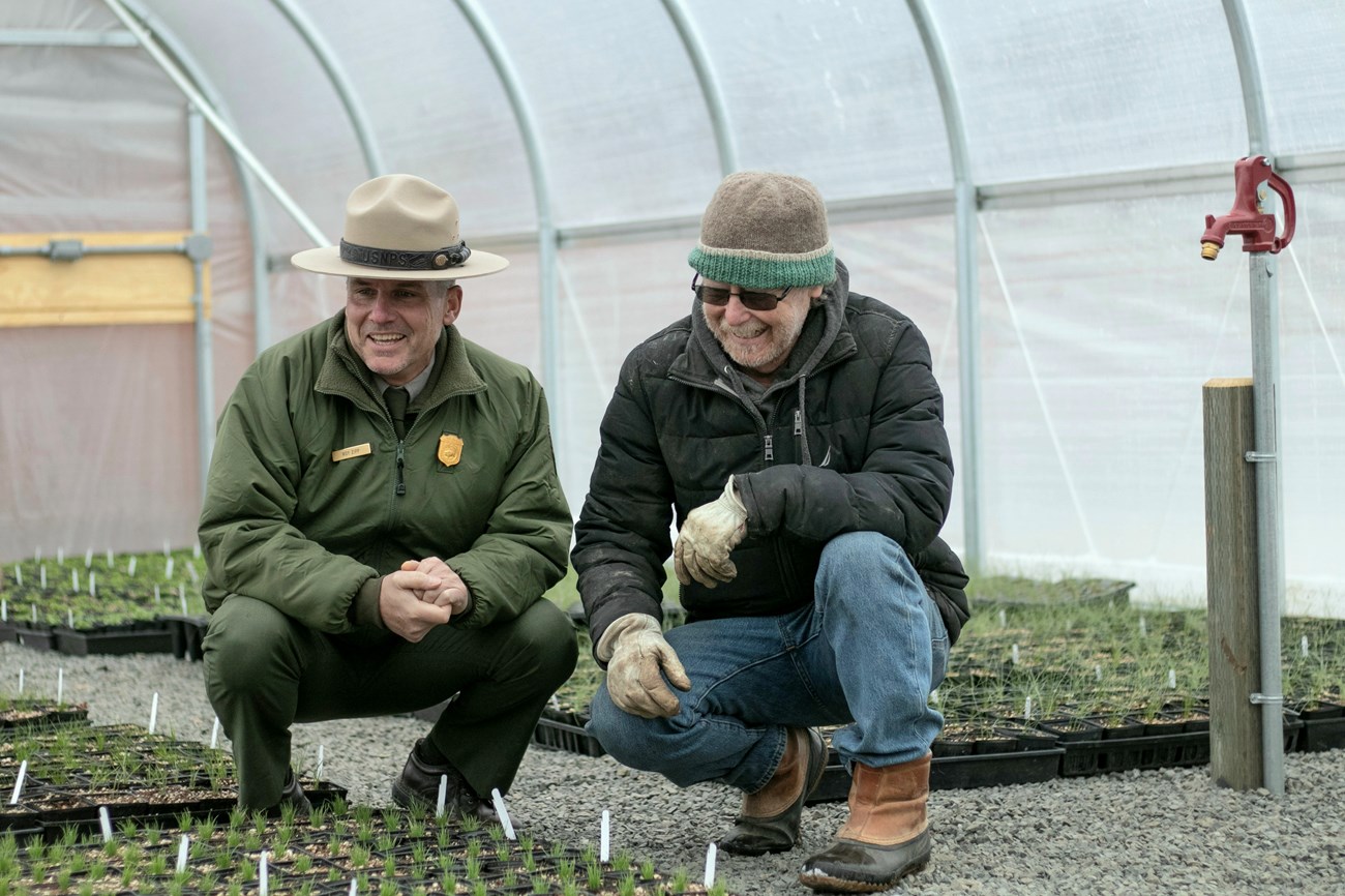 Sagebrush nursery two men, one in national park service uniform, squat and look at plant seedlings in a nursery