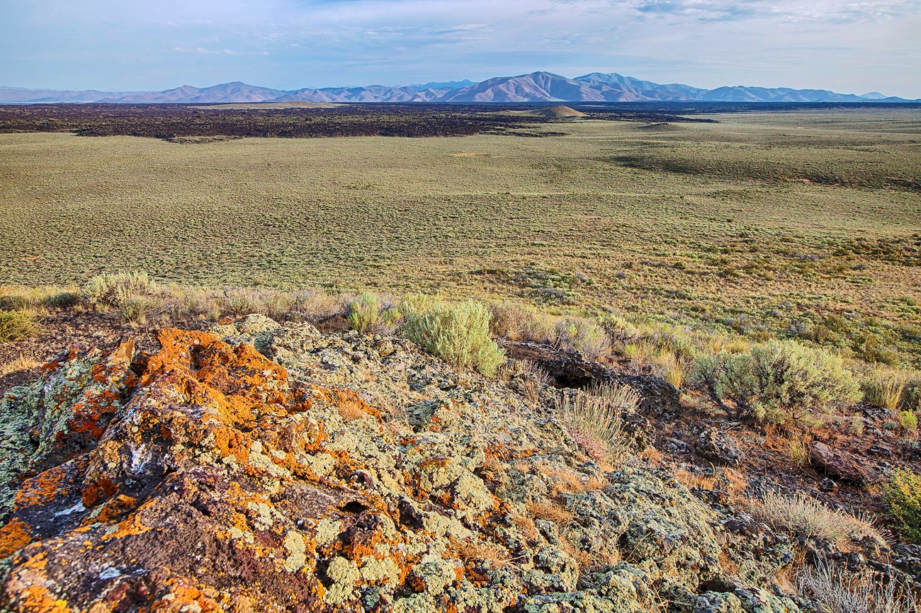 Sagebrush an enormous, flat, sagebrush covered landscape with patches of dark lava rock and mountains in the distance viewed from a lichen covered outcrop
