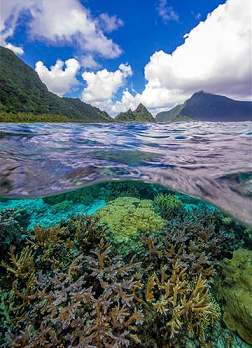 Tropical Waters, National Park of American Samoa Tropical Waters, National Park of American Samoa