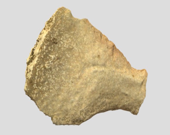Quartzite scraper Quartzite scraper