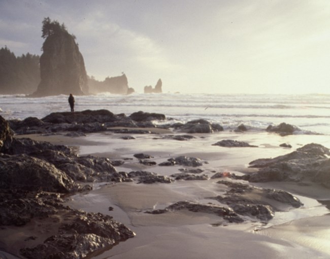 a misty view of the rocky Olympic Coast shoreline with a silhouette of a hiker