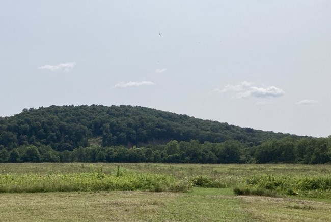 a forested hillside rises behind a large grassy field.
