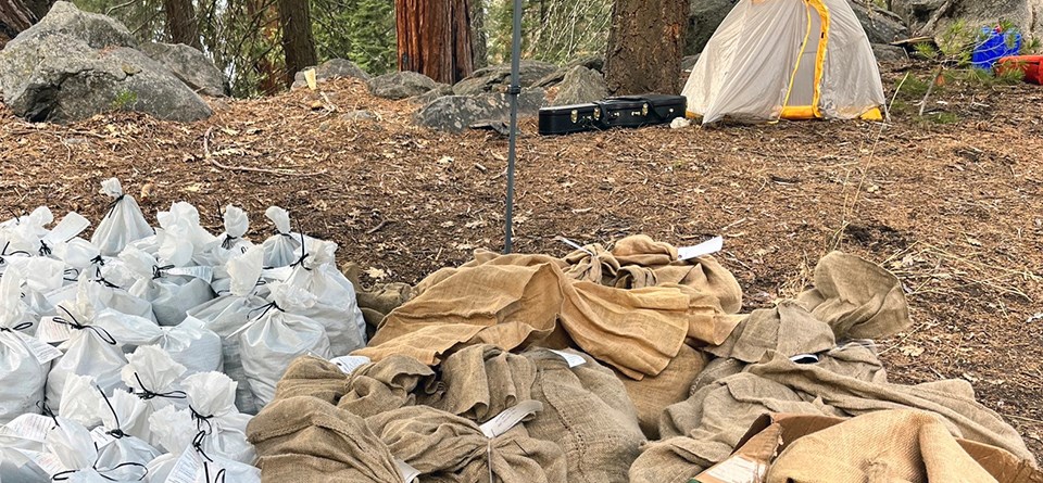 Filled plastic and burlap bags sit in piles on the ground in a clearing in a forest.