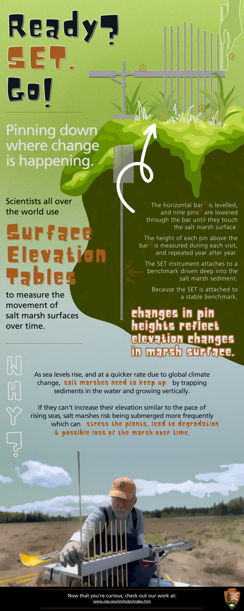 SET Infographic Infographic with text and icons describing the SET protocol.