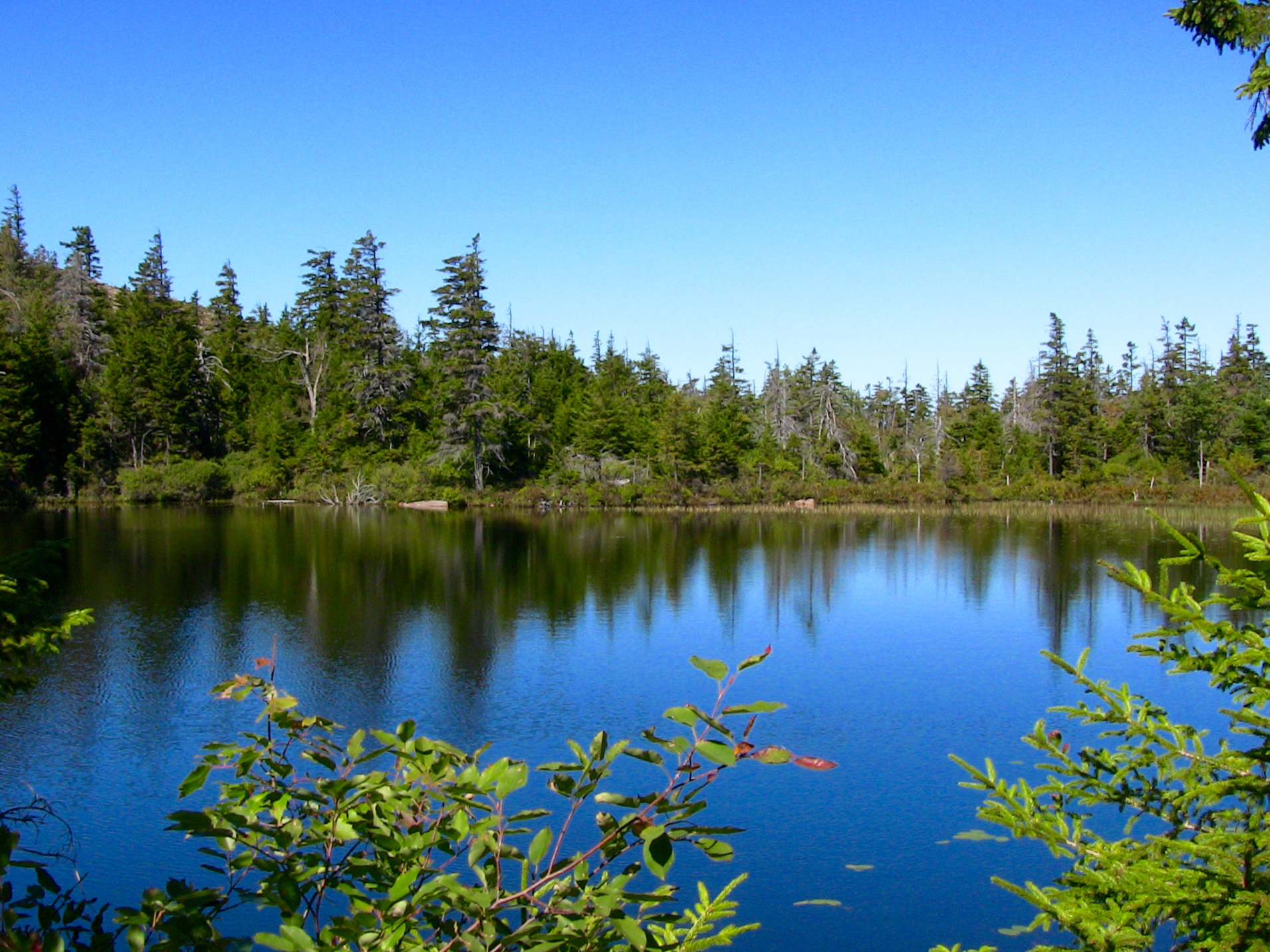 Studying Sargent Mountain Pond Maine s First Lake U.S. National