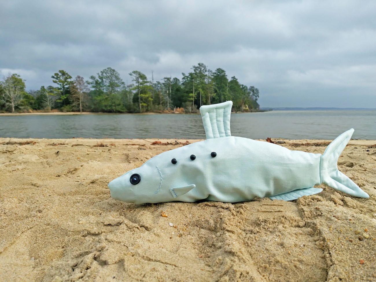 A stuffed animal fish sits on a beach.
