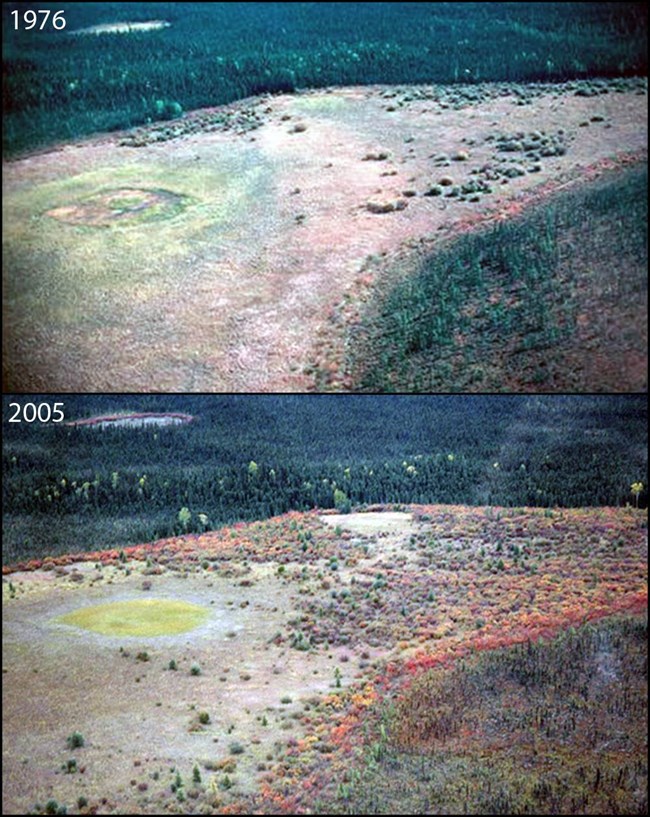 A photo pair from 1976 and 2005 showing wetland conversion to shrubs.