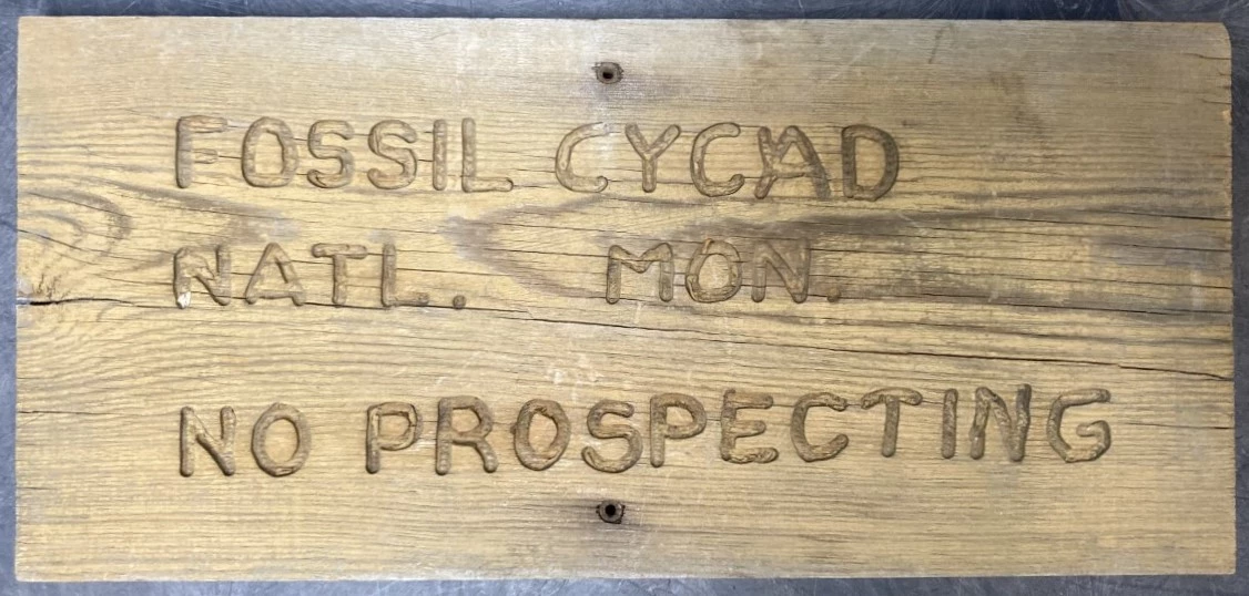 Original Fossil Cycad National Monument sign Wooden sign reading "Fossil Cycad Natl Mon No Prospecting"