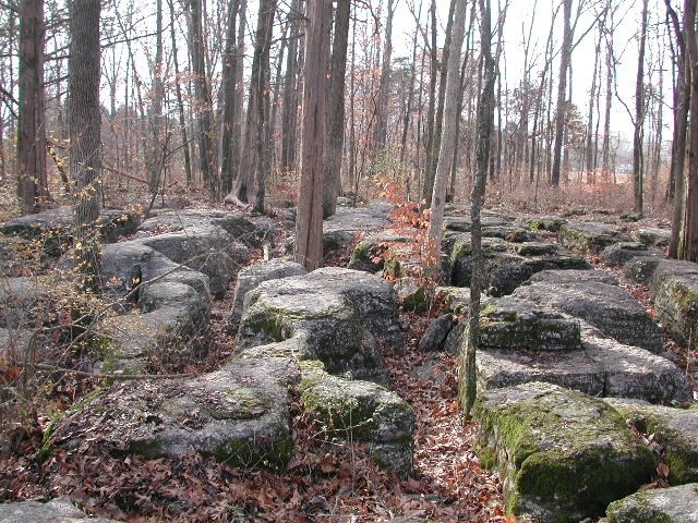 slaughter-pen-rocks In the foreground are curved, but low to the ground rock formations that are shaped like jigsaw puzzle pieces. Small trees rise from the ground next to and between the rocks. Autumn leaves carpet the forest floor, and the thin tree trunks extend into the