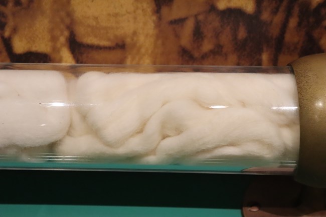 sliver A clear tube of thick fluffy cotton wrapped around itself