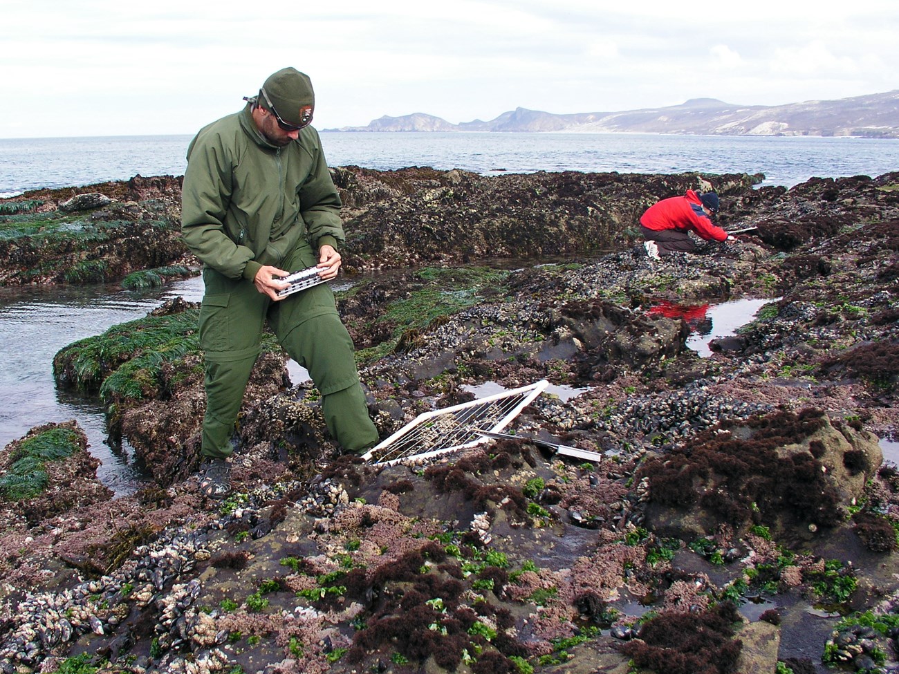 Steve and a coworker collect data at nearby rocky intertidal monitoring plots on a calm day.