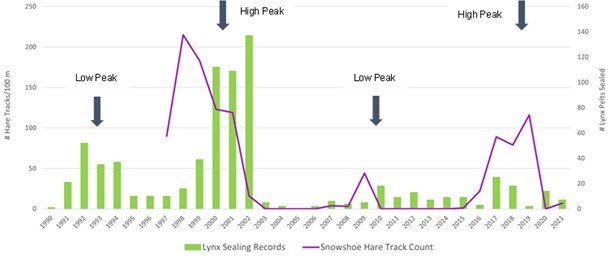 Graph depicts snowshoe hare population cycles (line) alongside lynx population cycles (bars) from 1990 to 2021. Lynx cycles lag behind hares, with super-peaks in 1998 and 2019, plus a smaller peak in 2009.