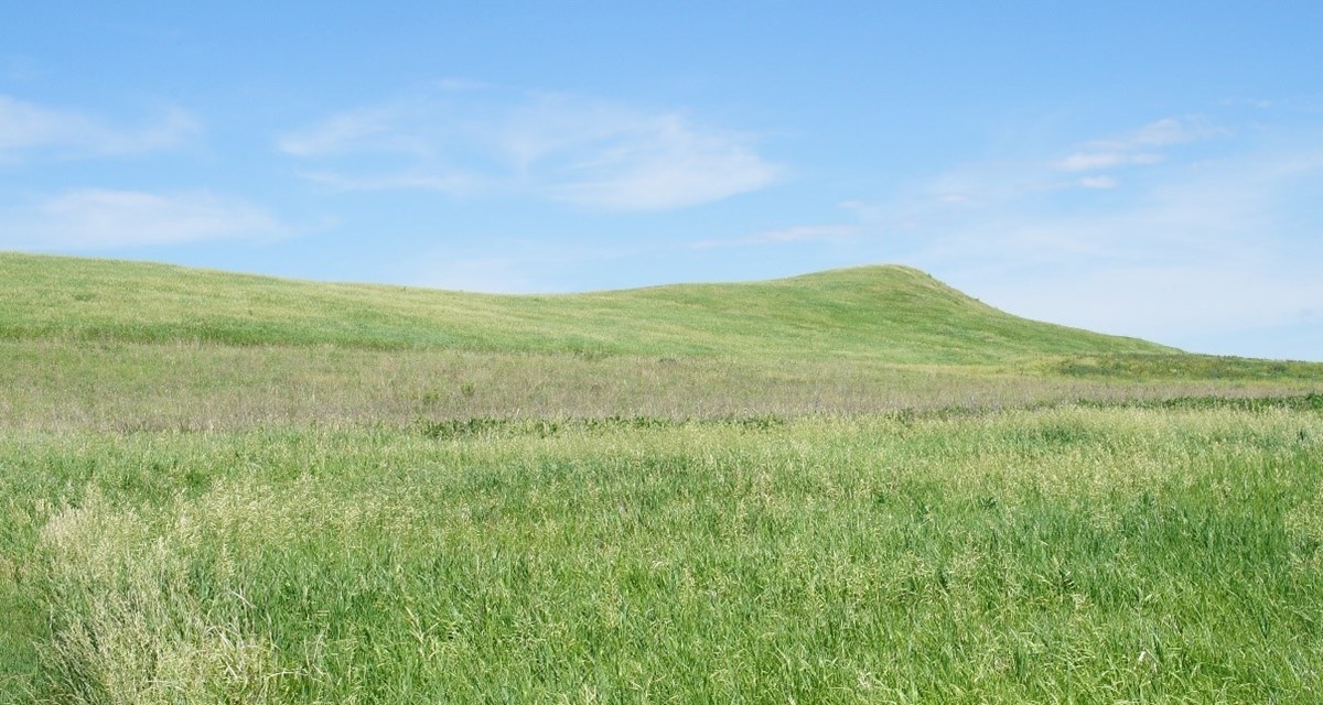 Spirit Mound glacial hill. The site is covered in green grass. Blue skies.