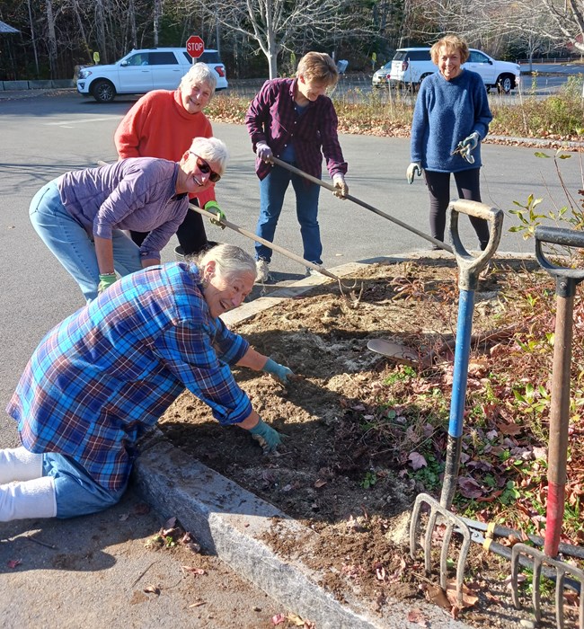 HCVC Sundial Lupine Planting