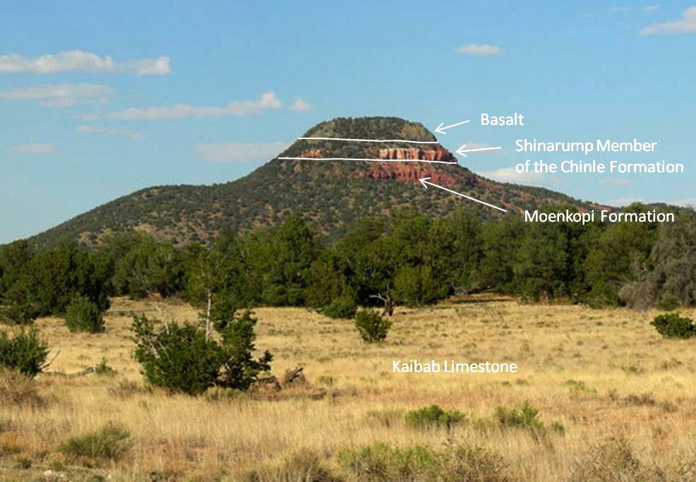 photo of grassland and forest with a tall mesa in the distance