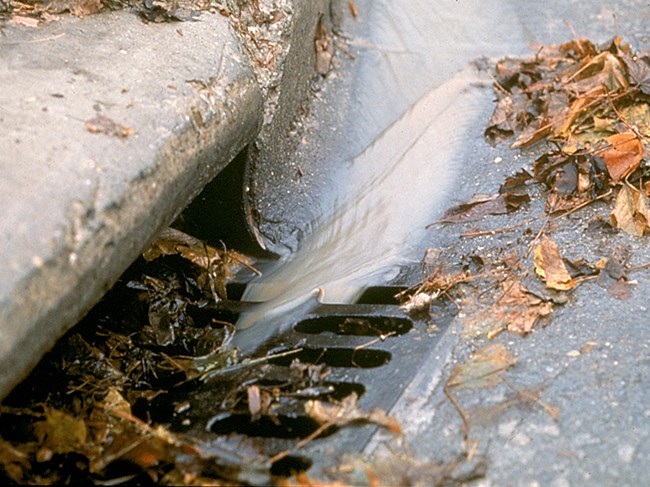 Cloudy water flows from the street into a storm drain surrounded by wet leaves.