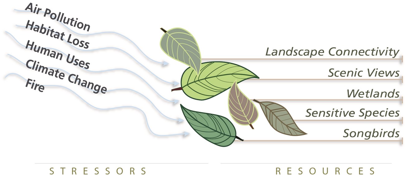 Illustration of drivers blowing resources as leaves