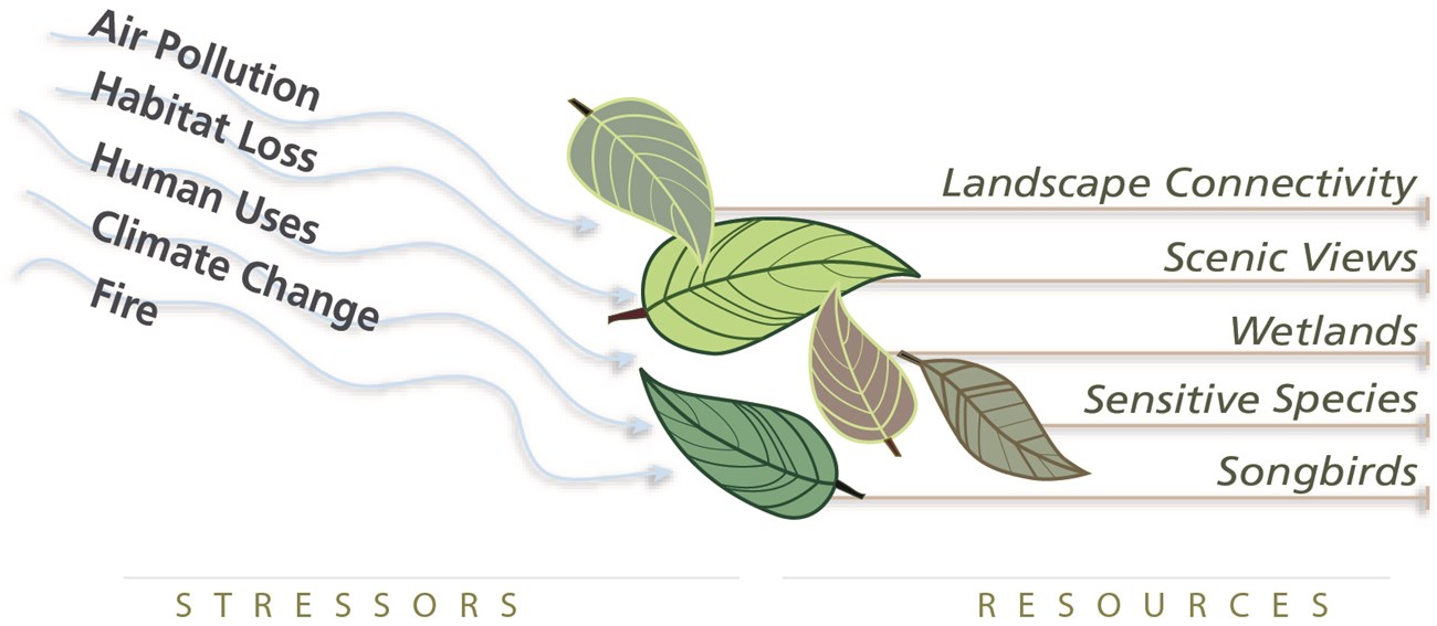 stressors leaves VALL Illustration of drivers blowing resources as leaves