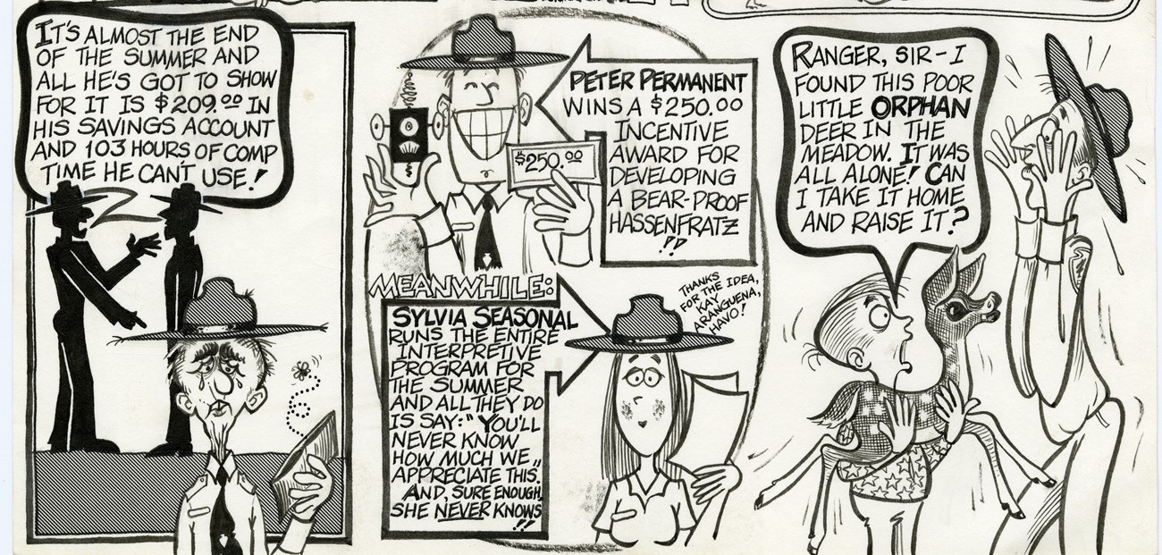 Summer Schedule panels Three cartoon panels with NPS scenes