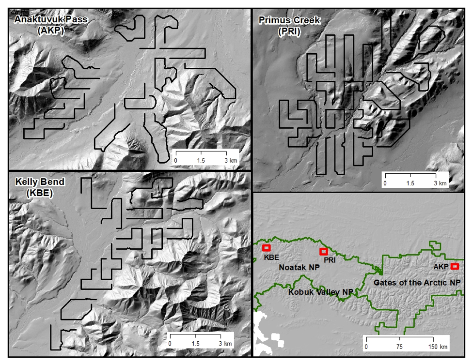 survey routes A series of relief shaded maps showing survey routes for ARCN bird surveys in Noatak National Preserve and Gates of the Arctic National Park and Preserve
