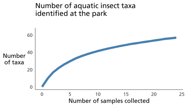 Blue line graph showing that relatively few new taxa are being identified with the collection of additional benthic macroinvertebrate samples.