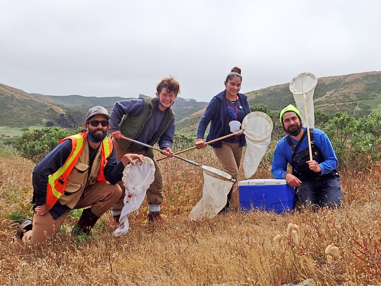 "Team ringlet" Four people on a grassy hilltop with butterfly nets and a cooler.