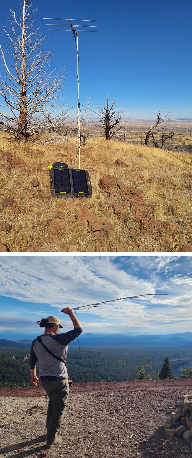 Photo of tall pole with antenna above photo of man holding an antenna to the sky.