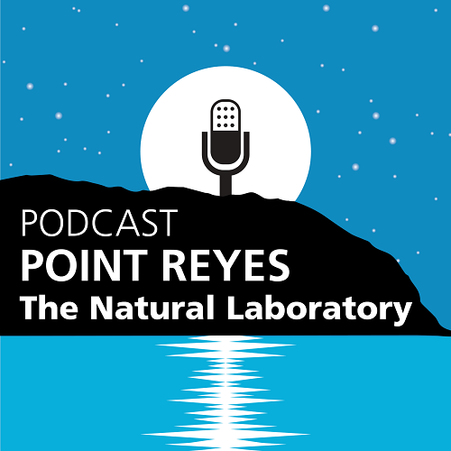 graphic depicting a blue sky and blue ocean, with a black microphone and the title 'podcast: point reyes, the natural laboratory'