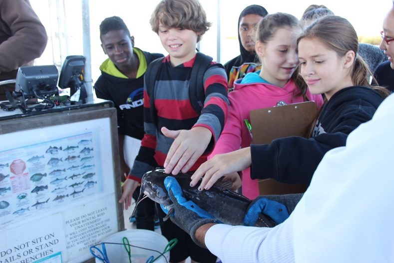 The seventh-grade students get the opportunity to have hands-on learning by catching fish and other sea creatures while on the Duke-O-Fluke.  Photo Credit:  Lynn Maun.