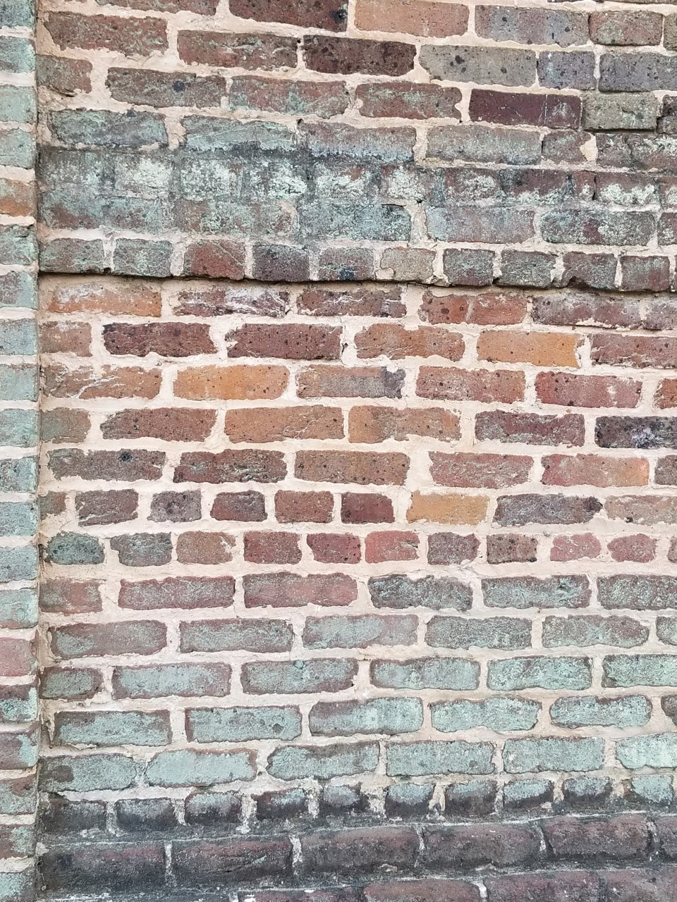 The image shows bricks from Thrasher Hall that were produced by former Tuskegee Institute (University) students. The bricks were made in “White Hall Valley” on the campus of Tuskegee University.