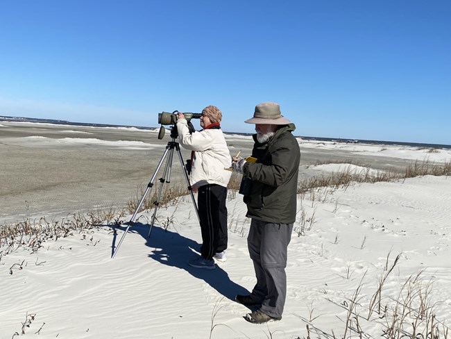 Mid-Winter Shorebird Count on Cumberland Island Two people with camera and clipboard on a beach.